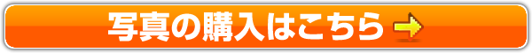 写真の購入はこちら
